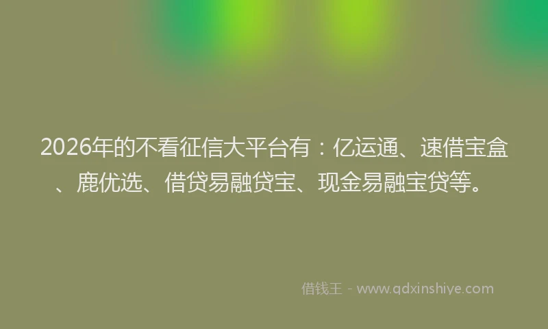 2026年的不看征信大平台有：亿运通、速借宝盒、鹿优选、借贷易融贷宝、现金易融宝贷等。