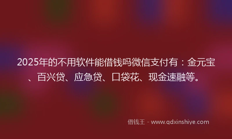 2025年的不用软件能借钱吗微信支付有:金元宝、百兴贷、应急贷、口袋花、现金速融等。
