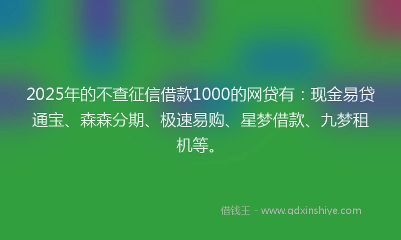 2025年的不查征信借款1000的网贷有：现金易贷通宝、森森分期、极速易购、星梦借款、九梦租机等。