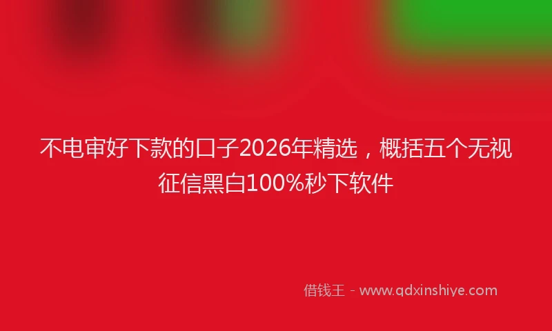 不电审好下款的口子2026年精选,概括五个无视征信黑白100%秒下软件