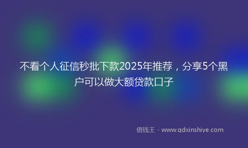 不看个人征信秒批下款2025年推荐,分享5个黑户可以做大额贷款口子
