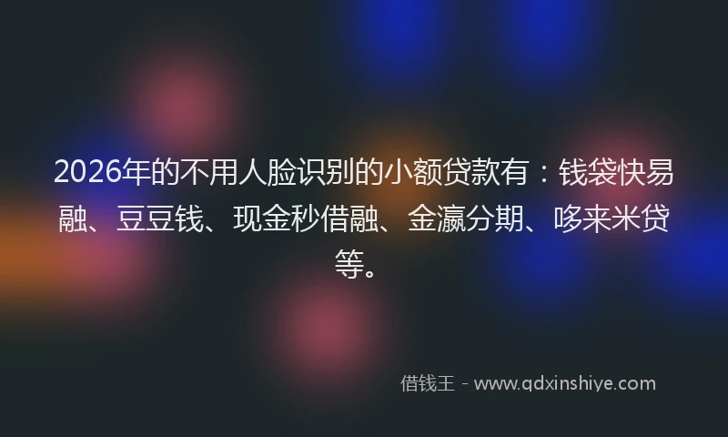 2026年的不用人脸识别的小额贷款有：钱袋快易融、豆豆钱、现金秒借融、金瀛分期、哆来米贷等。