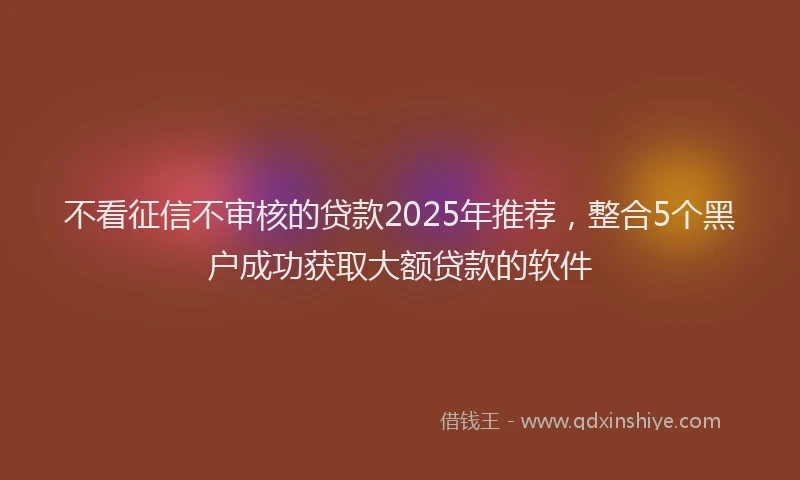 不看征信不审核的贷款2025年推荐，整合5个黑户成功获取大额贷款的软件