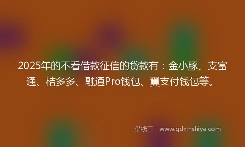 2025年的不看借款征信的贷款有:金小豚、支富通、桔多多、融通Pro钱包、翼支付钱包等。