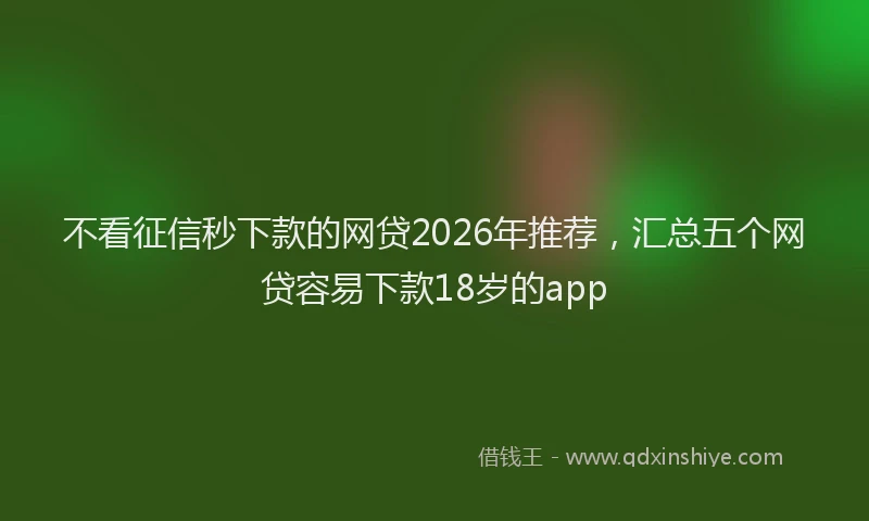 不看征信秒下款的网贷2026年推荐，汇总五个网贷容易下款18岁的app
