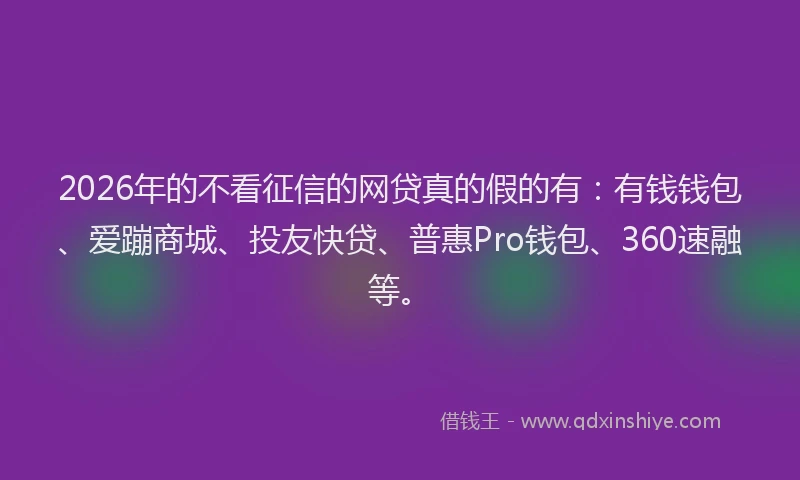 2026年的不看征信的网贷真的假的有:有钱钱包、爱蹦商城、投友快贷、普惠Pro钱包、360速融等。