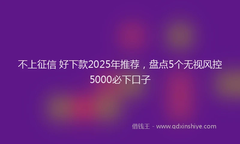 不上征信 好下款2025年推荐,盘点5个无视风控5000必下口子