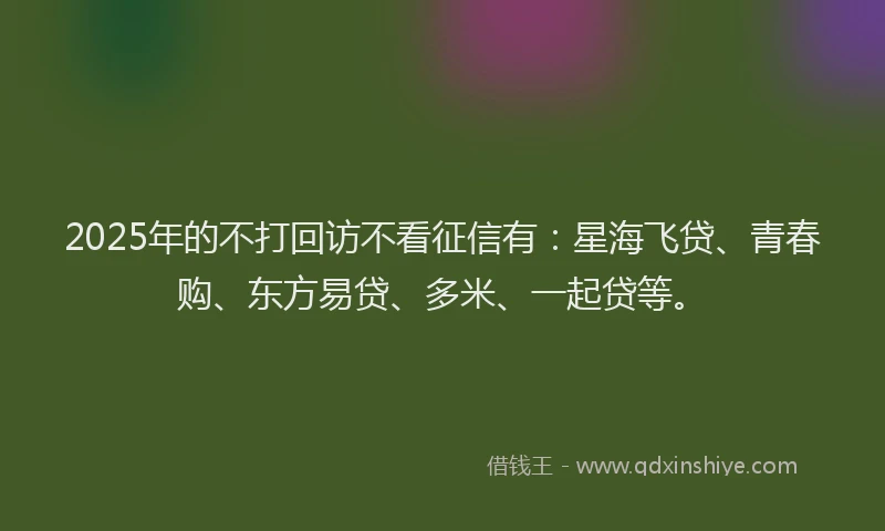 2025年的不打回访不看征信有：星海飞贷、青春购、东方易贷、多米、一起贷等。