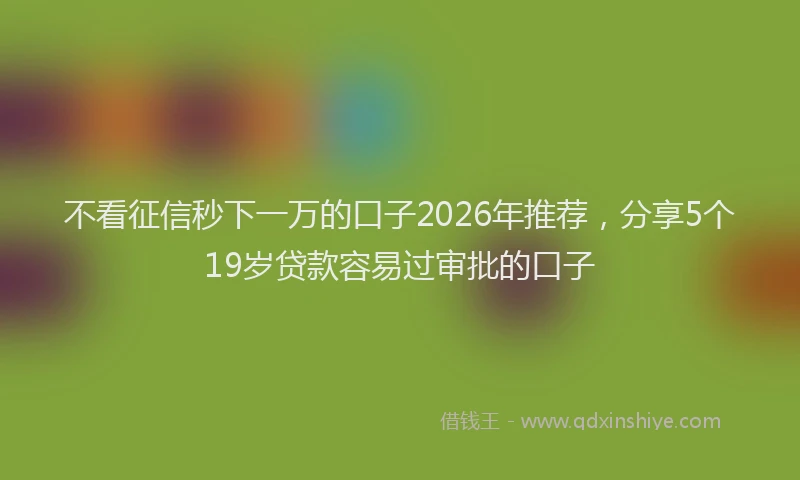 不看征信秒下一万的口子2026年推荐，分享5个19岁贷款容易过审批的口子