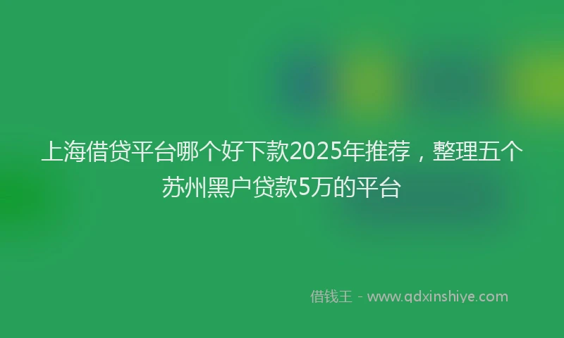 上海借贷平台哪个好下款2025年推荐，整理五个苏州黑户贷款5万的平台