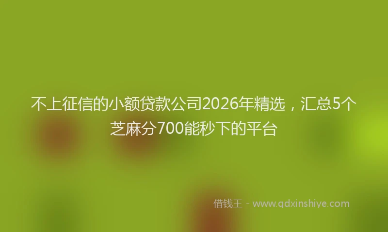 不上征信的小额贷款公司2026年精选，汇总5个芝麻分700能秒下的平台