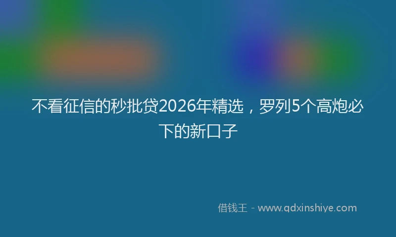 不看征信的秒批贷2026年精选，罗列5个高炮必下的新口子