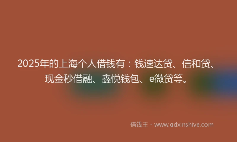 2025年的上海个人借钱有：钱速达贷、信和贷、现金秒借融、鑫悦钱包、e微贷等。