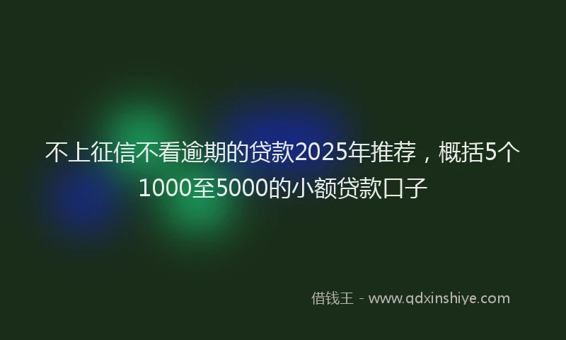 不上征信不看逾期的贷款2025年推荐,概括5个1000至5000的小额贷款口子