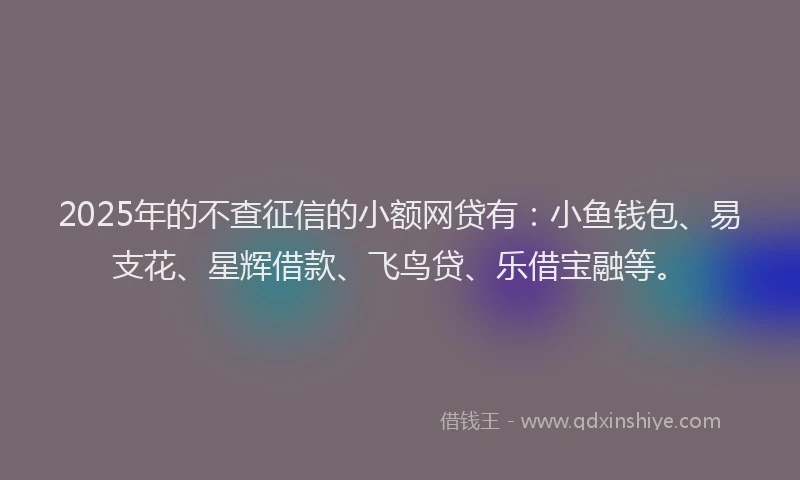 2025年的不查征信的小额网贷有：小鱼钱包、易支花、星辉借款、飞鸟贷、乐借宝融等。