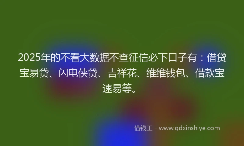 2025年的不看大数据不查征信必下口子有：借贷宝易贷、闪电侠贷、吉祥花、维维钱包、借款宝速易等。