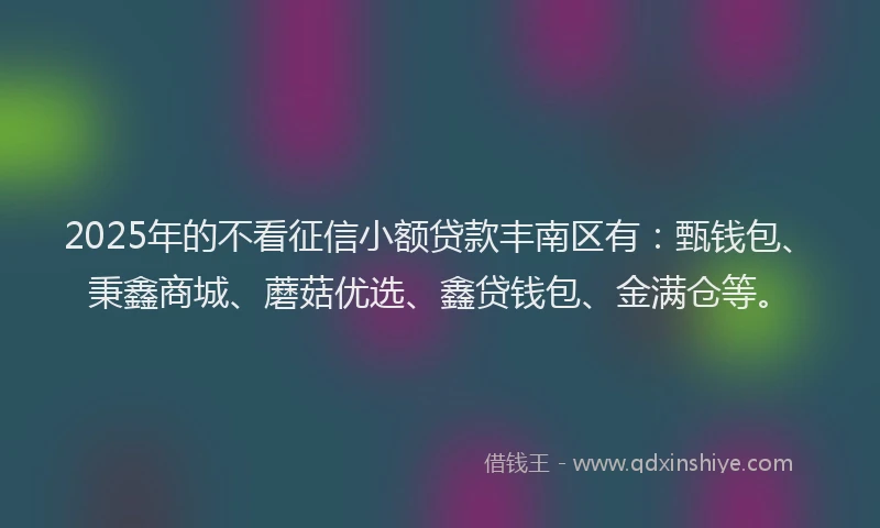 2025年的不看征信小额贷款丰南区有:甄钱包、秉鑫商城、蘑菇优选、鑫贷钱包、金满仓等。