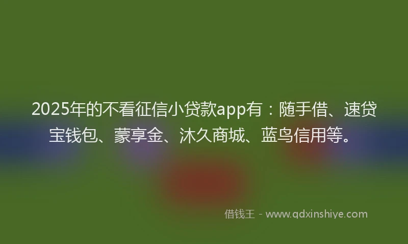2025年的不看征信小贷款app有：随手借、速贷宝钱包、蒙享金、沐久商城、蓝鸟信用等。