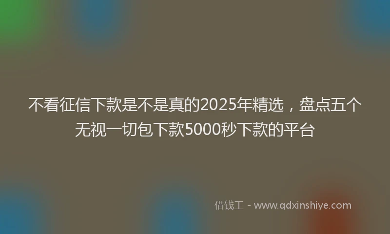 不看征信下款是不是真的2025年精选,盘点五个无视一切包下款5000秒下款的平台