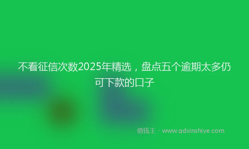 不看征信次数2025年精选,盘点五个逾期太多仍可下款的口子