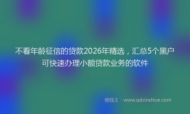 不看年龄征信的贷款2026年精选，汇总5个黑户可快速办理小额贷款业务的软件
