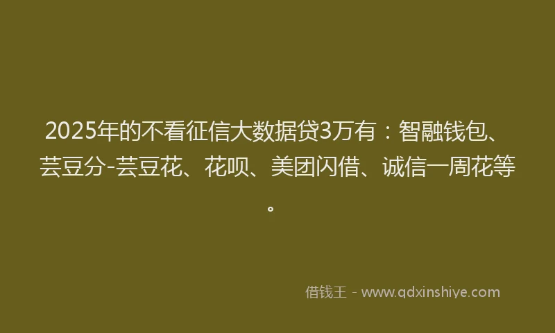 2025年的不看征信大数据贷3万有：智融钱包、芸豆分-芸豆花、花呗、美团闪借、诚信一周花等。
