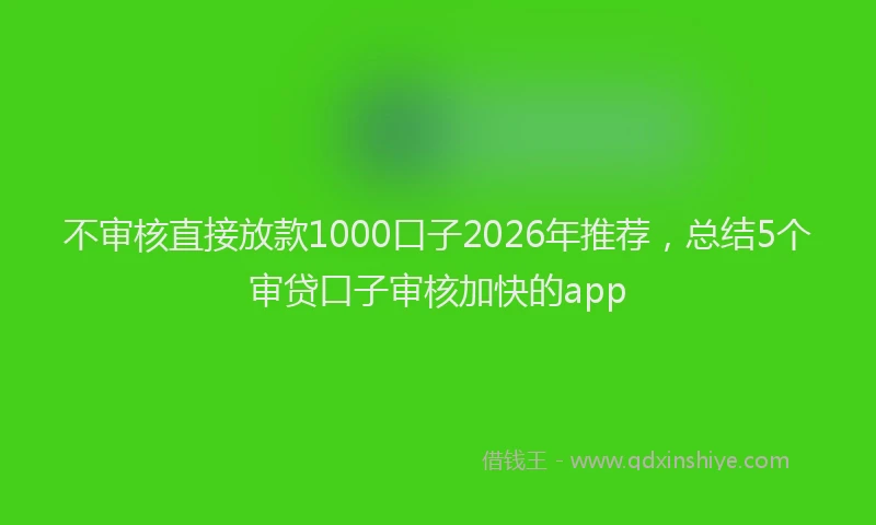 不审核直接放款1000口子2026年推荐，总结5个审贷口子审核加快的app