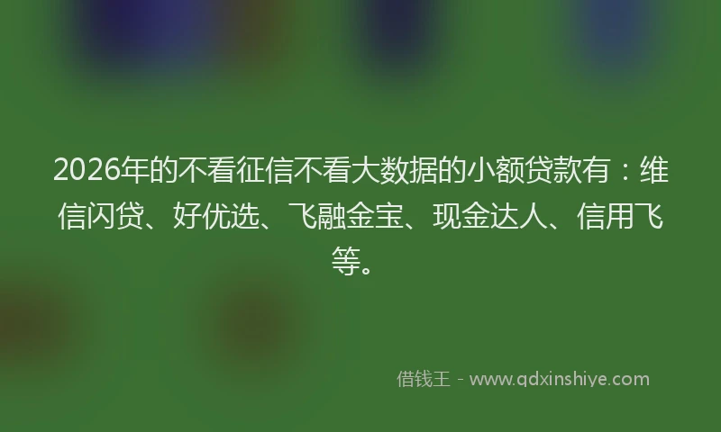 2026年的不看征信不看大数据的小额贷款有：维信闪贷、好优选、飞融金宝、现金达人、信用飞等。