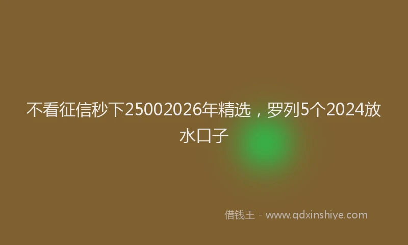 不看征信秒下25002026年精选，罗列5个2024放水口子