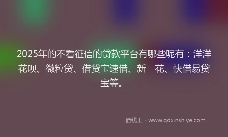 2025年的不看征信的贷款平台有哪些呢有：洋洋花呗、微粒贷、借贷宝速借、新一花、快借易贷宝等。