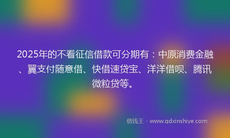 2025年的不看征信借款可分期有：中原消费金融、翼支付随意借、快借速贷宝、洋洋借呗、腾讯微粒贷等。