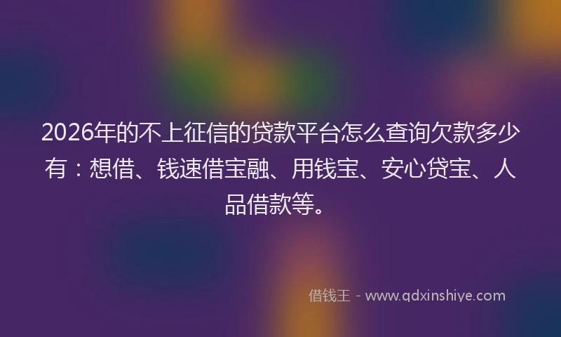 2026年的不上征信的贷款平台怎么查询欠款多少有：想借、钱速借宝融、用钱宝、安心贷宝、人品借款等。