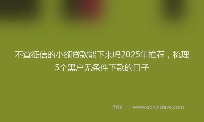 不查征信的小额贷款能下来吗2025年推荐，梳理5个黑户无条件下款的口子