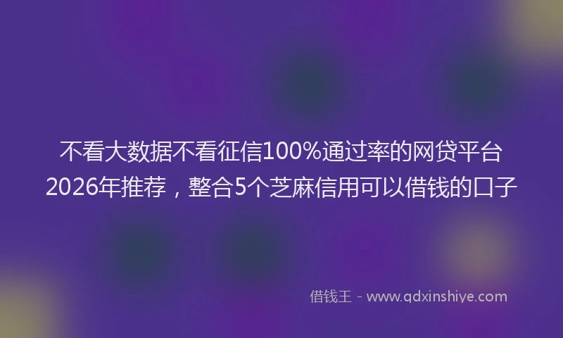 不看大数据不看征信100%通过率的网贷平台2026年推荐,整合5个芝麻信用可以借钱的口子