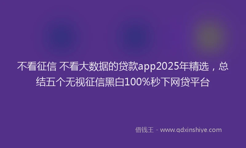 不看征信 不看大数据的贷款app2025年精选，总结五个无视征信黑白100%秒下网贷平台