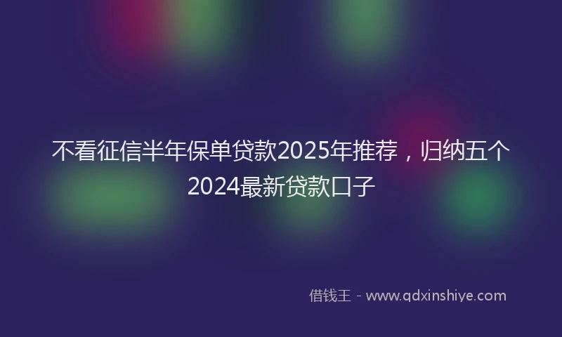 不看征信半年保单贷款2025年推荐，归纳五个2024最新贷款口子