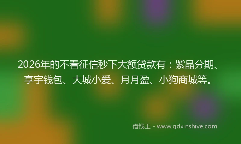2026年的不看征信秒下大额贷款有:紫晶分期、享宇钱包、大城小爱、月月盈、小狗商城等。