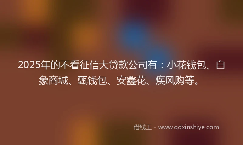 2025年的不看征信大贷款公司有：小花钱包、白象商城、甄钱包、安鑫花、疾风购等。