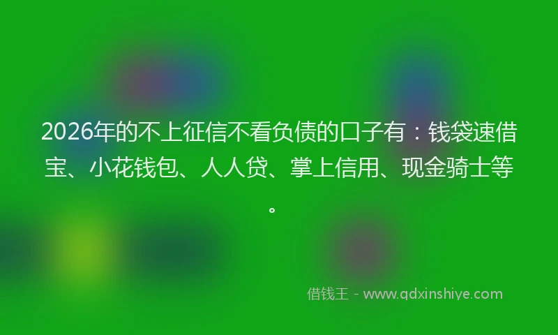 2026年的不上征信不看负债的口子有：钱袋速借宝、小花钱包、人人贷、掌上信用、现金骑士等。