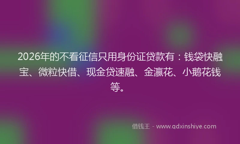 2026年的不看征信只用身份证贷款有：钱袋快融宝、微粒快借、现金贷速融、金瀛花、小鹅花钱等。