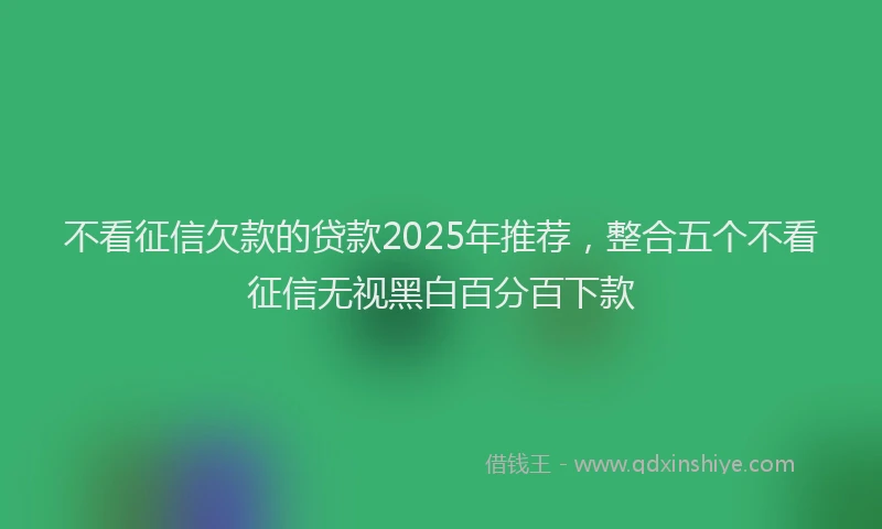 不看征信欠款的贷款2025年推荐，整合五个不看征信无视黑白百分百下款