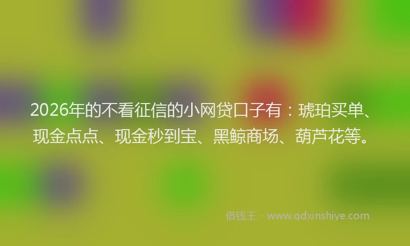 2026年的不看征信的小网贷口子有：琥珀买单、现金点点、现金秒到宝、黑鲸商场、葫芦花等。