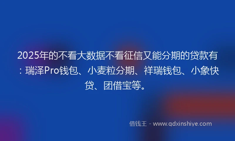 2025年的不看大数据不看征信又能分期的贷款有:瑞泽Pro钱包、小麦粒分期、祥瑞钱包、小象快贷、团借宝等。