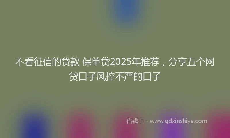 不看征信的贷款 保单贷2025年推荐，分享五个网贷口子风控不严的口子