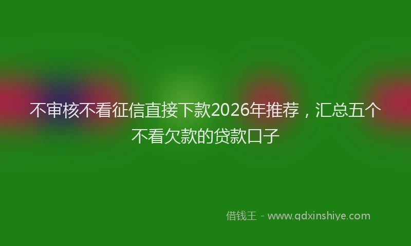 不审核不看征信直接下款2026年推荐，汇总五个不看欠款的贷款口子