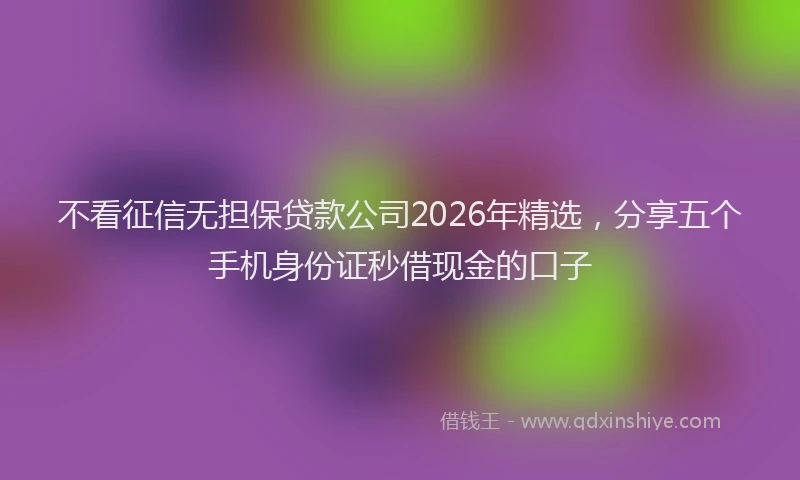 不看征信无担保贷款公司2026年精选,分享五个手机身份证秒借现金的口子