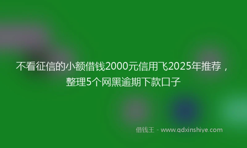 不看征信的小额借钱2000元信用飞2025年推荐，整理5个网黑逾期下款口子