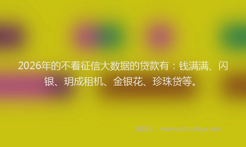 2026年的不看征信大数据的贷款有：钱满满、闪银、玥成租机、金银花、珍珠贷等。
