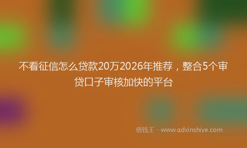 不看征信怎么贷款20万2026年推荐,整合5个审贷口子审核加快的平台