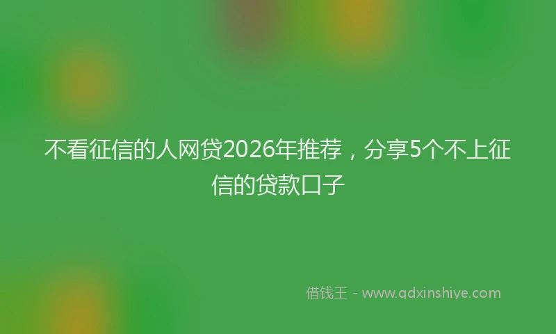 不看征信的人网贷2026年推荐，分享5个不上征信的贷款口子